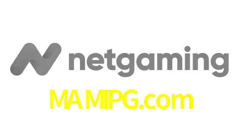 NetGaming